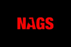 Nagsbet Casino Review 2024: Sites Like Nagsbet to Explore